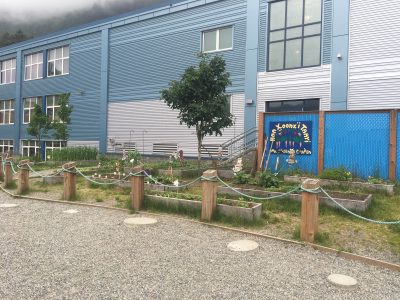 Harborview Elemetary School Garden