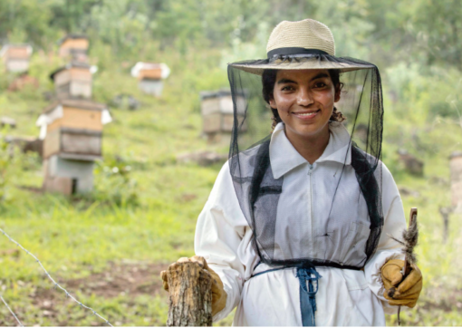 "Guatemala - Beekeeper and Entrepeneur Oralia Ruano Lima" by UN Women Gallery is licensed under CC BY-NC-ND 2.0.